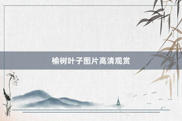 榆树叶子图片高清观赏
