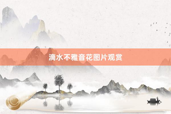 滴水不雅音花图片观赏